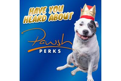 Have You Heard about Pawsh Perks?