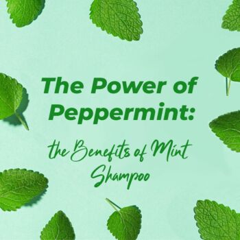 The Power of Peppermint: A Deep Dive into the Benefits of Peppermint Dog Shampoos