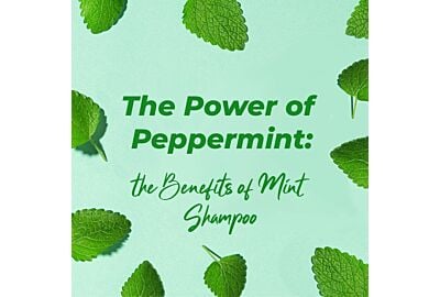 The Power of Peppermint: A Deep Dive into the Benefits of Peppermint Dog Shampoos