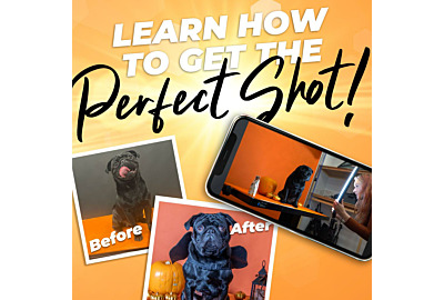 How to get the perfect pet photo