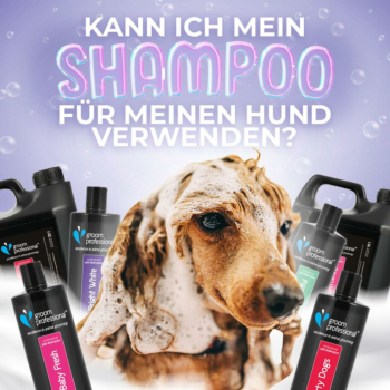 Kann ich mein Shampoo für meinen Hund verwenden?