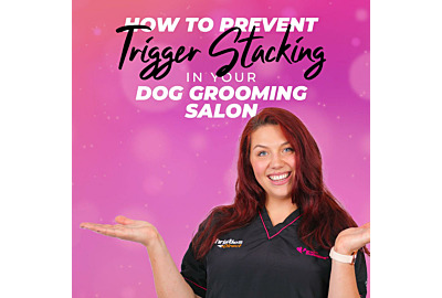 How to prevent trigger stacking in your dog grooming salon