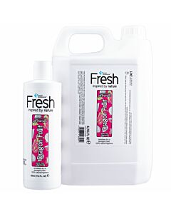 Groom Professional Fresh Dragon Fruit Shampoo