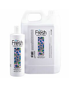 Groom Professional Fresh Blueberry Bloom Shampoo