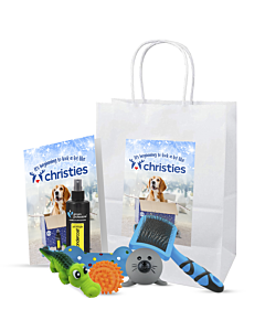 Christmas Gift Bag
