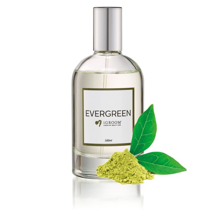 Evergreen100ml-3718-01-jpg Evergreen100ml-3718-01-jpg