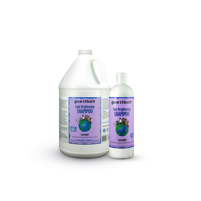 LightCoatShampoo-2184-01-jpg LightCoatShampoo-2184-01-jpg