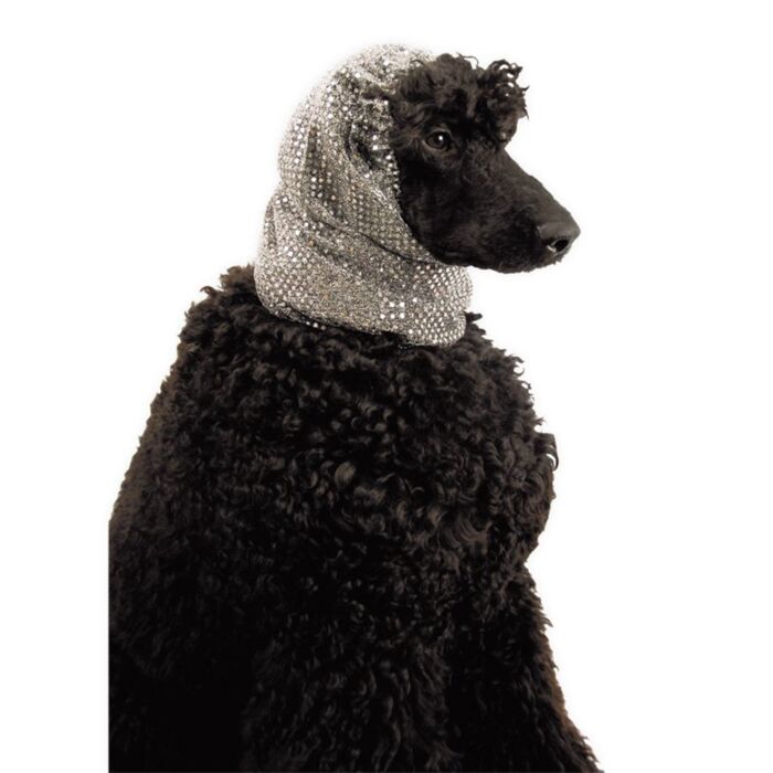 SilverFancySnood-3716-01-jpg SilverFancySnood-3716-01-jpg
