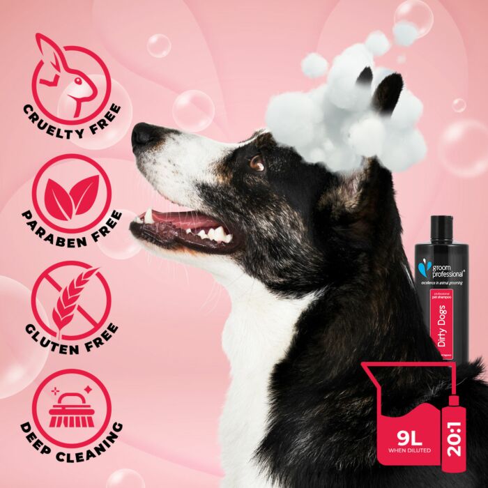 Groom Professional Dirty Dogs Hundeshampoo