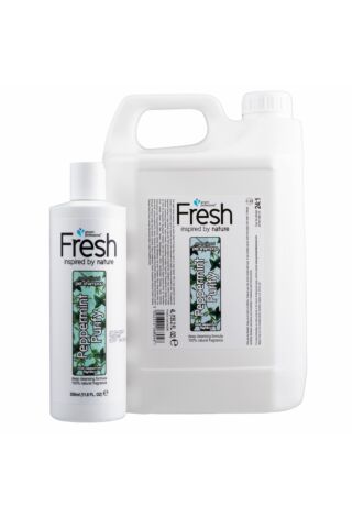 Groom Professional Fresh Peppermint Purify Shampoo