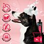 Groom Professional Dirty Dogs Hundeshampoo thumbnail
