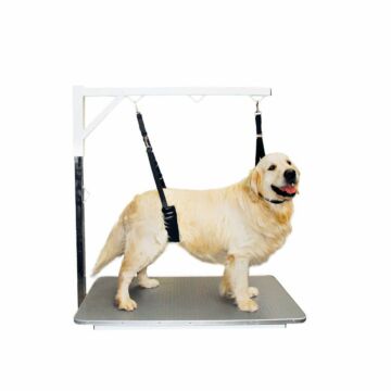 ComfortBellyStrap-4493-01-jpg