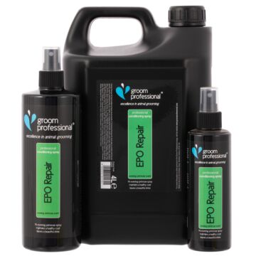 EveningPrimroseOilShine-416-01-jpg