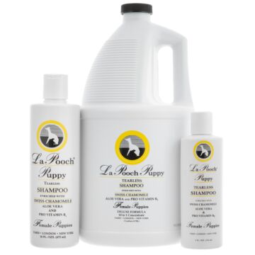 LaPoochPuppyShampooFemalePuppies-2529-01-jpg