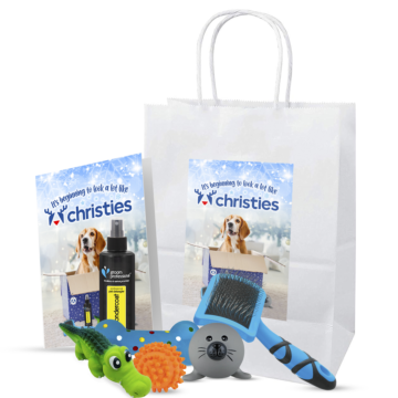 Christmas Gift Bag