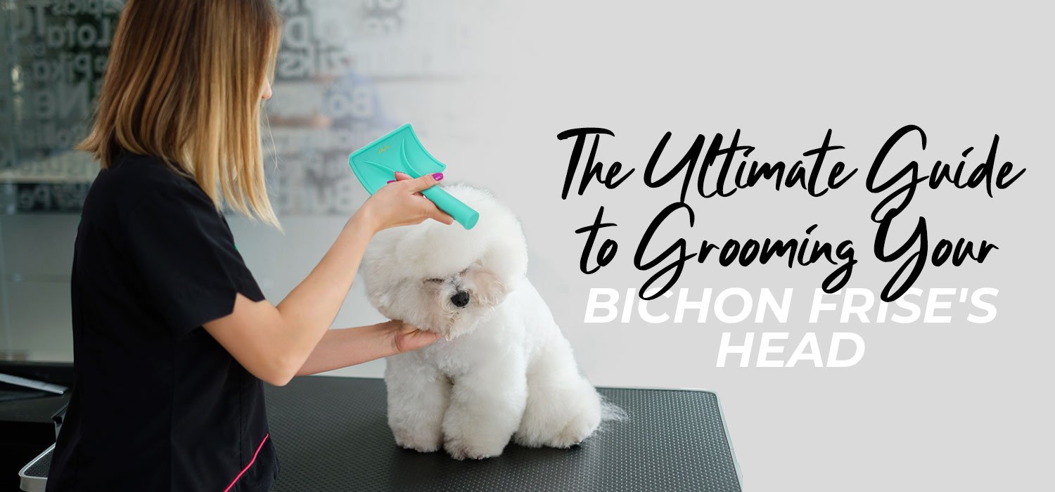 Ultimate Bichon Frise Head Grooming Guide Using Luminosa Chunker