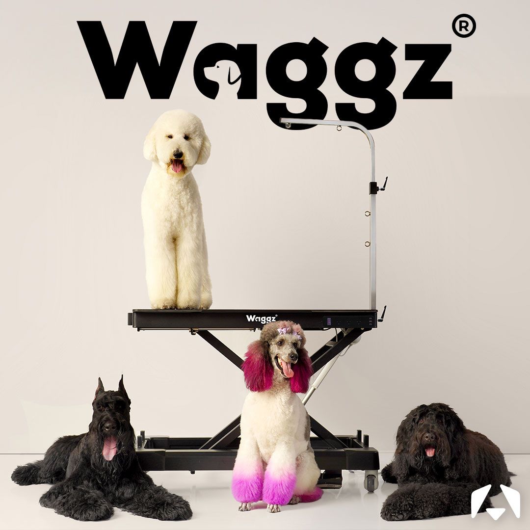 Why Waggz? A Guide to the Newest Grooming Tables at Christies